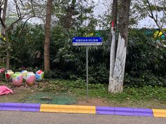 -东部华侨城