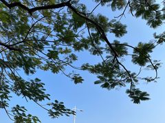 -艾米稻香小镇