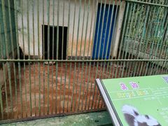 -广东茂名森林公园