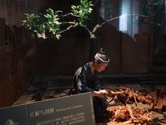 -长沙简牍博物馆