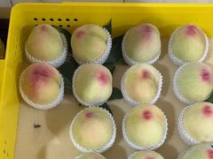 -老袁家蜜桃农场·阳山水蜜桃