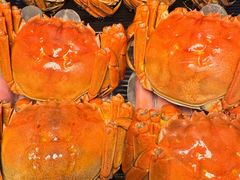 -红盔甲·小龙虾(定西路店)