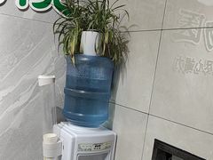 -半岛宠物医院24小时(白果林店)