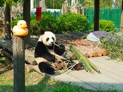 -大连森林动物园