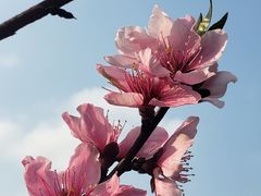 -贵阳市花溪国家城市湿地公园