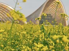 -中国天府农业博览园