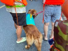 -安吉龙王山峡谷漂流