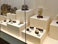 -安徽省地质博物馆