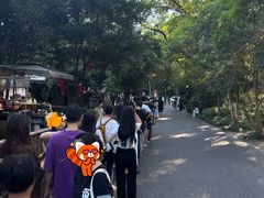 -灵顺寺