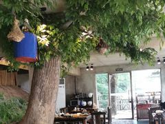 -天怡·鱼工厂(梅溪湖店)