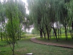 -昆山城市生态森林公园