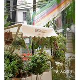 春天开在了花里花俏的地方💐