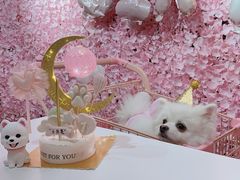 -百好乐宠物友好餐厅(朝外大街店)