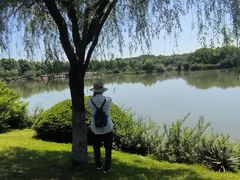 -宜兴龙背山森林公园