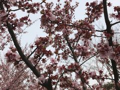 -白塘生态植物园