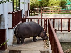 -青藏高原野生动物园