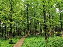 -国家植物园南园