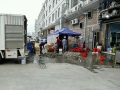 -蚝专家(北滘店)