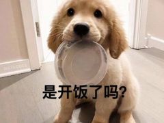 -寿奶茶·鲜奶与茶(合生汇购物中心店)