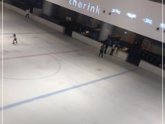-TheRink大零溜冰场(IFS国金中心店)