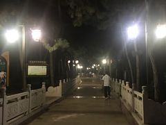 -林海公园