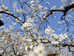 -江苏三台山国家森林公园