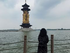 -溱湖国家湿地公园