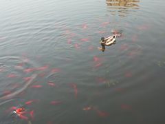 -前关湿地公园