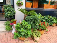 -蟹谢蒸鲜自助餐厅