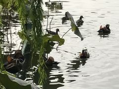 -北海公园-停车场