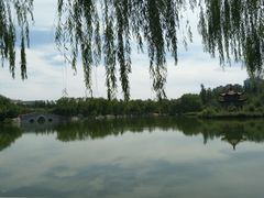 -青城公园