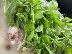 -丁太婆老妈蹄花(人民公园非遗总店)