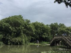 -西溪国家湿地公园