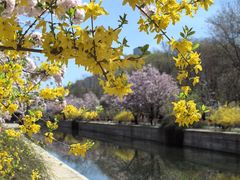 -海棠花溪(元大都城垣遗址公园)