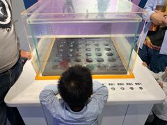 -苏州青少年科技馆