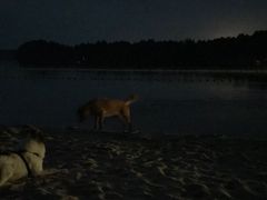 -仙海旅游度假区