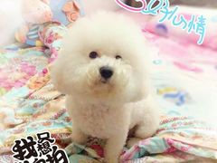 -惠康宠物医院(华能路店)