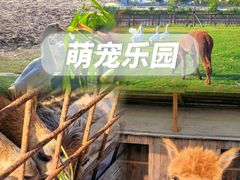 -栖露营camping·天幕烧烤·团建拓展·采摘营地