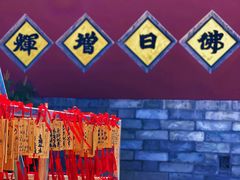 -天津大悲禅院