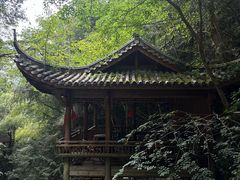 -藏龙百瀑风景区