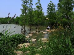 -上海长兴岛郊野公园