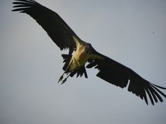 -Sony Store索尼(广州正佳店)