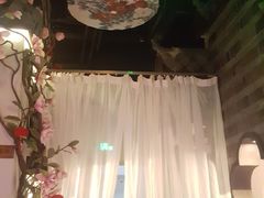 -韵秋荷(宝山龙湖天街店)