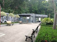 -银湖山郊野公园-相思林