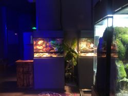 -未来动物城主题公园(正弘城店)