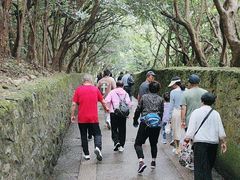 -普陀山风景区-佛顶山