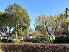 -上海山野camping·户外天幕烧烤·团建拓展营地