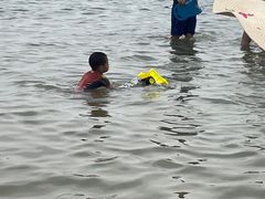 -碧海金沙