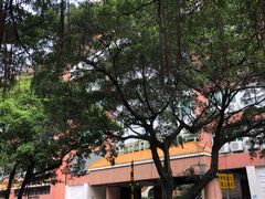 -广州市南武中学