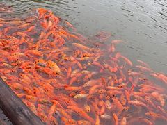 -南京金牛湖风景区